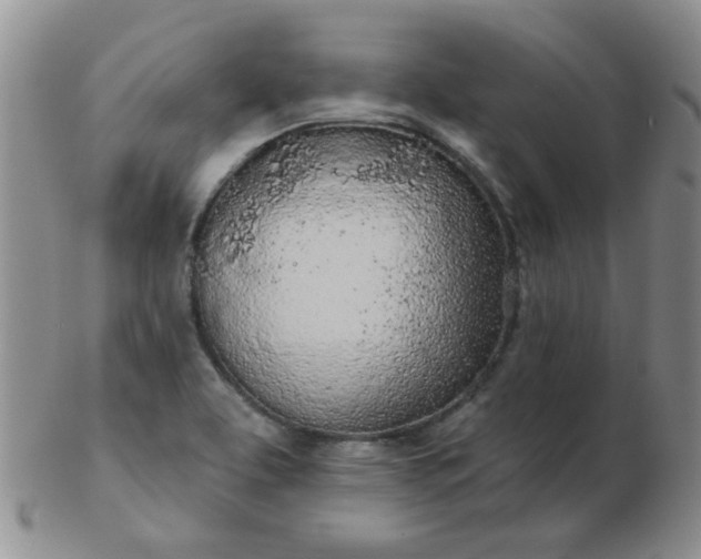 X0000103281463200809121934