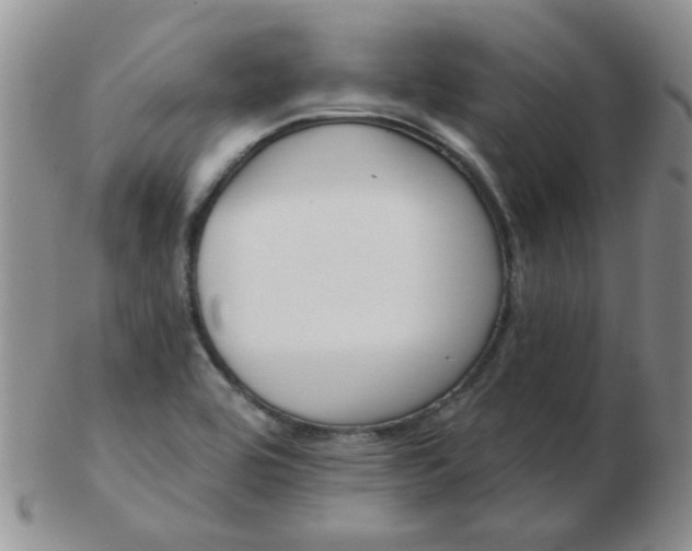 X0000103281464200809121934