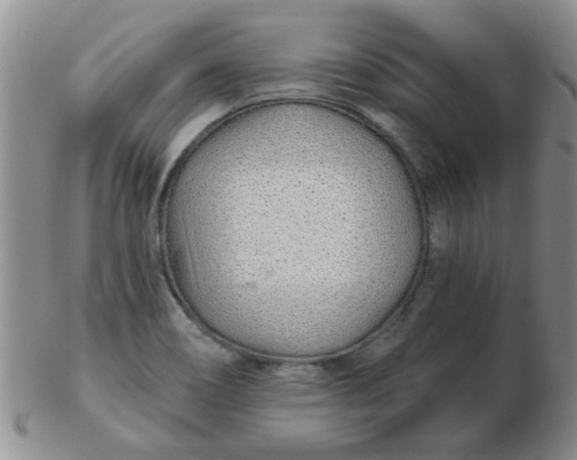 X0000103281466200809121934