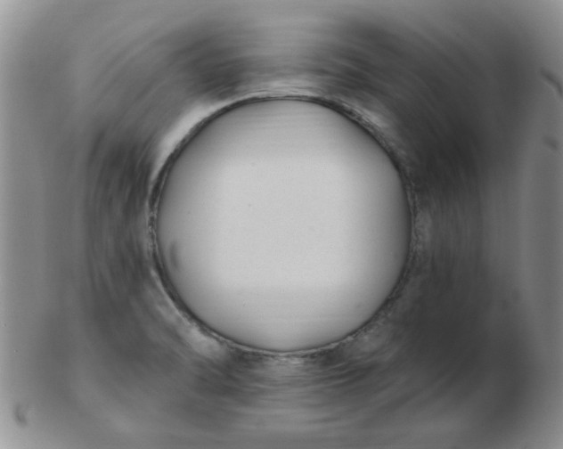 X0000103281470200809121934