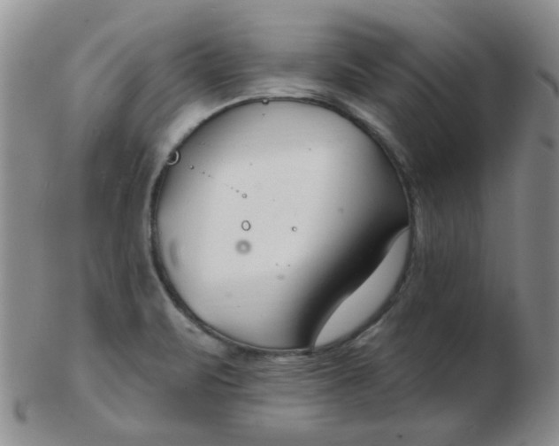 X0000103281471200809121934