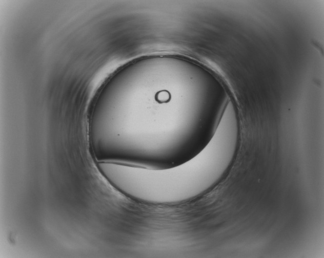 X0000103281472200809121934