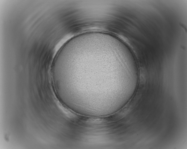 X0000103281474200809121934