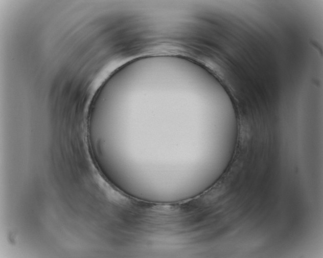 X0000103281478200809121934