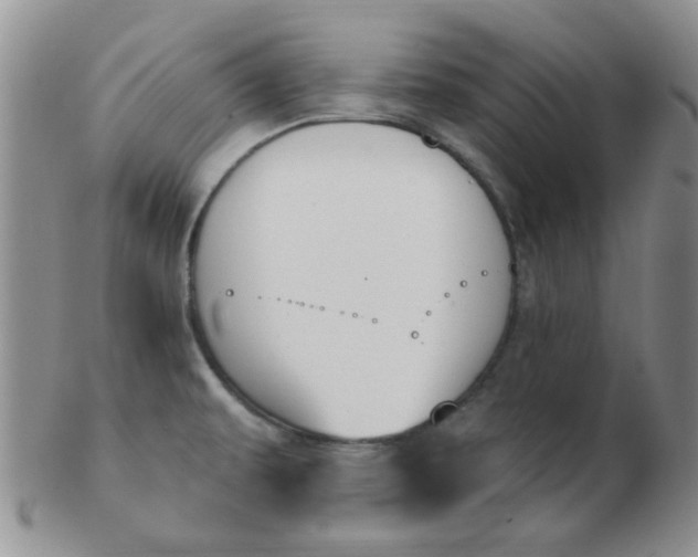 X0000103281479200809121934