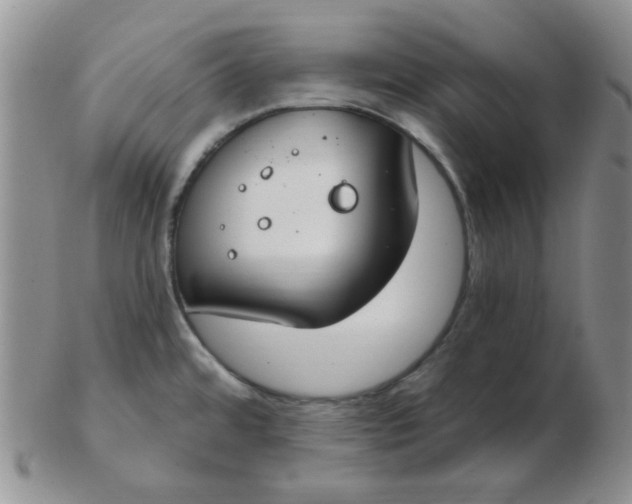 X0000103281480200809121934