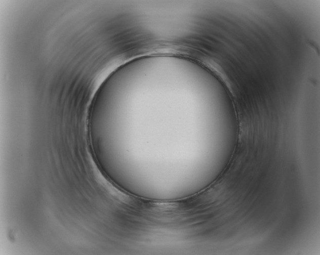 X0000103281483200809121934