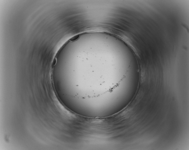 X0000103281484200809121934