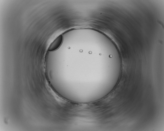 X0000103281485200809121934