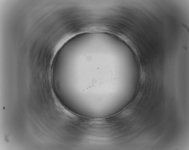 X0000103281486200809121934