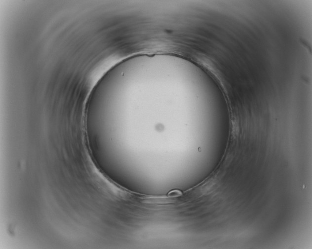 X0000103281487200809121934