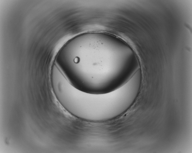 X0000103281488200809121934