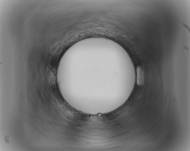 X0000103281491200809121934