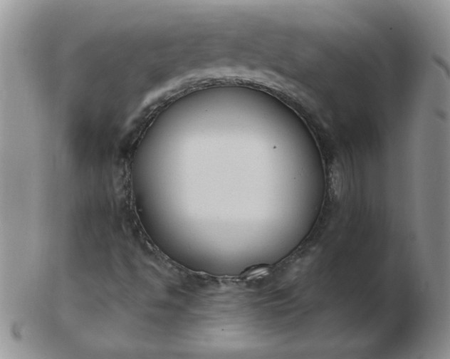 X0000103281494200809121934