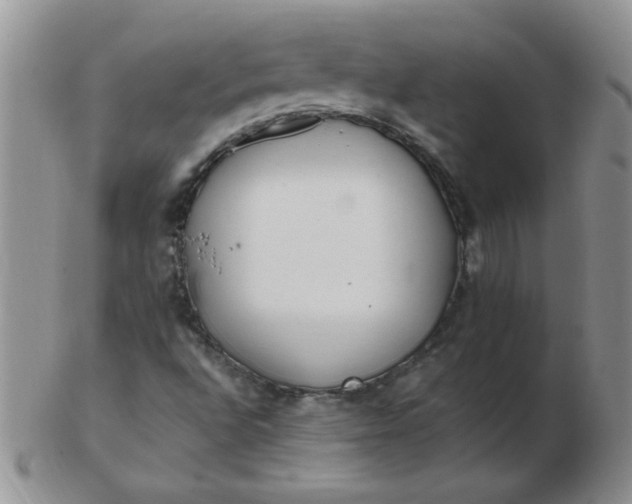 X0000103281496200809121934