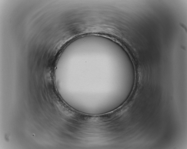 X0000103281497200809121934