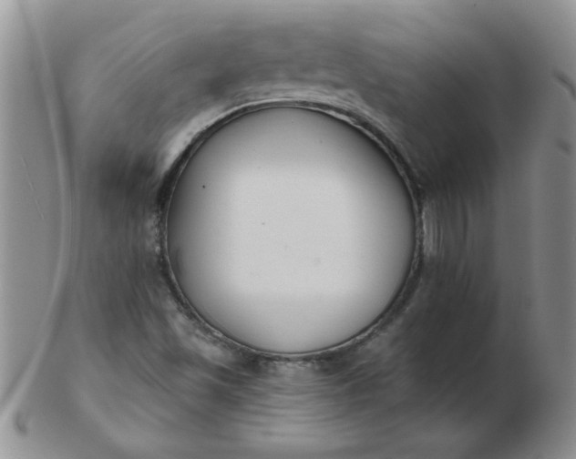 X0000103281501200809121934