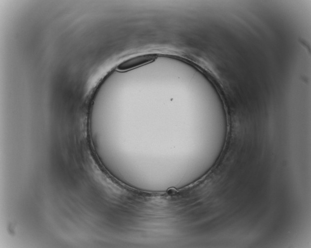 X0000103281504200809121934