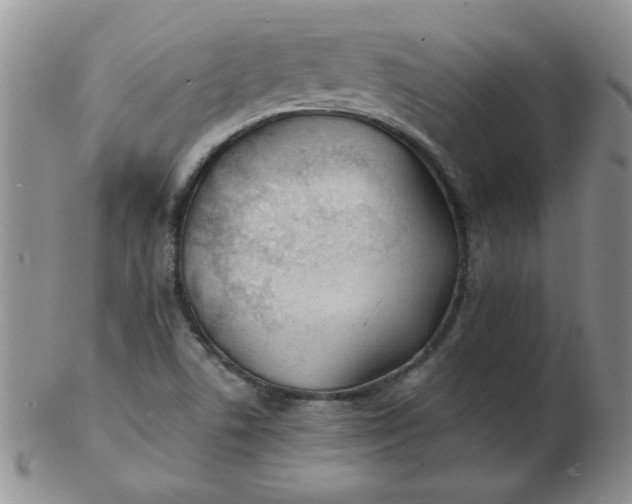 X0000103281506200809121934