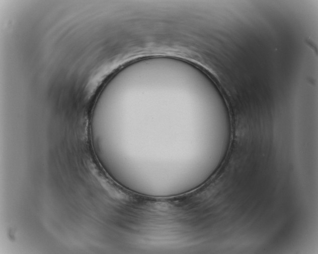 X0000103281507200809121934