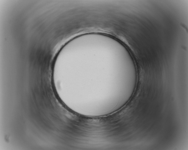 X0000103281508200809121934