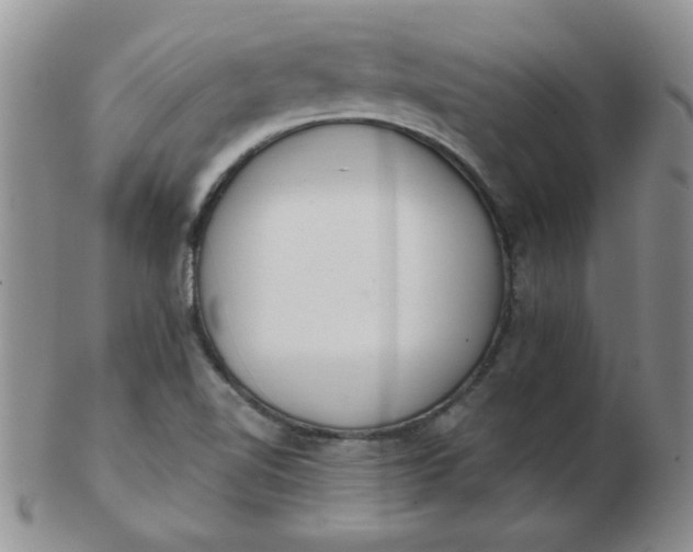 X0000103281510200809121934