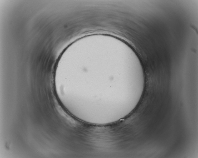 X0000103281518200809121934