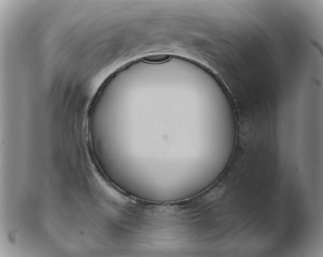 X0000103281519200809121934