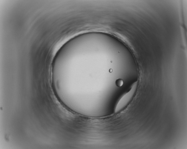 X0000103281520200809121934