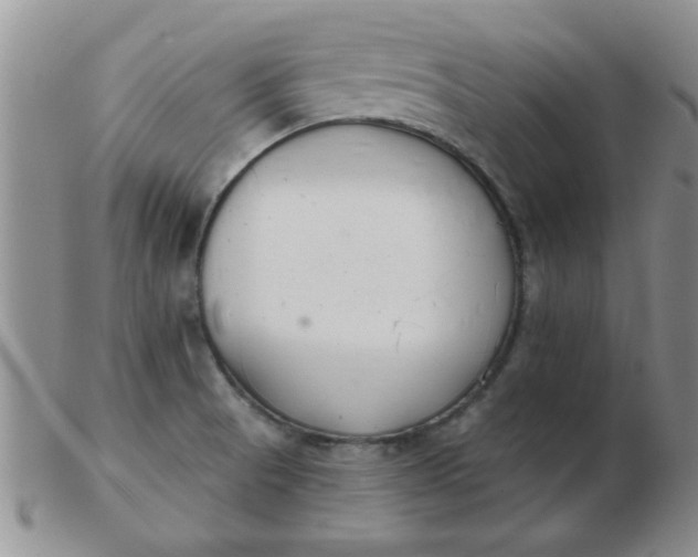 X0000103281521200809121934