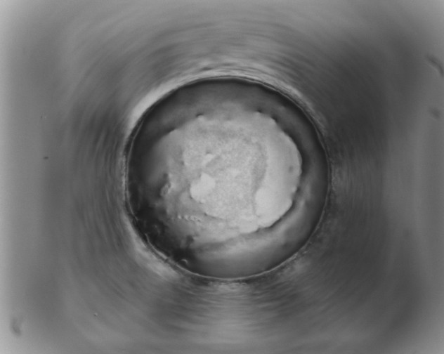 X0000103281522200809121934