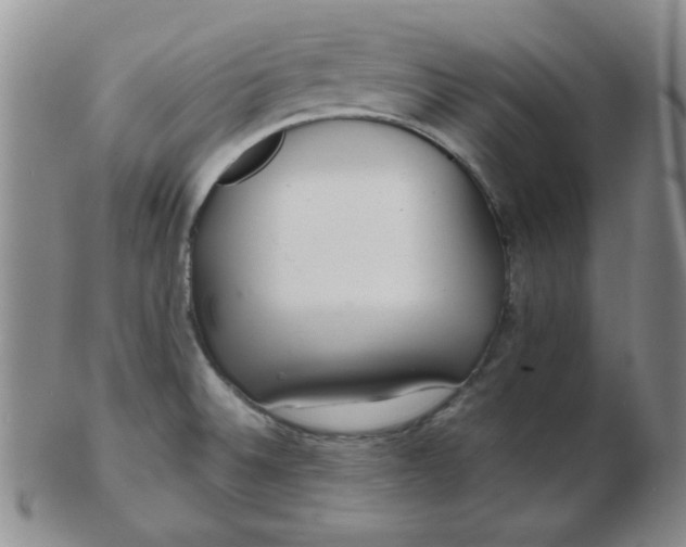 X0000103281524200809121934