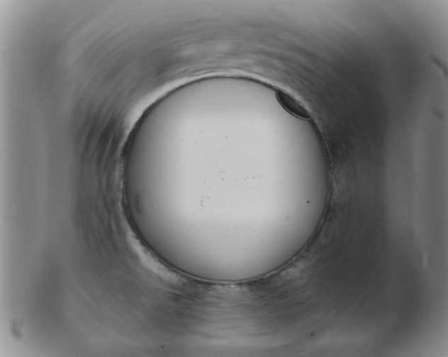 X0000103281526200809121934