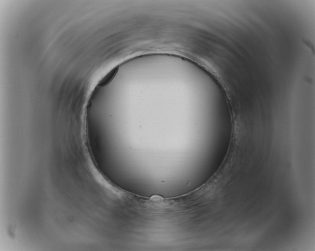 X0000103281528200809121934