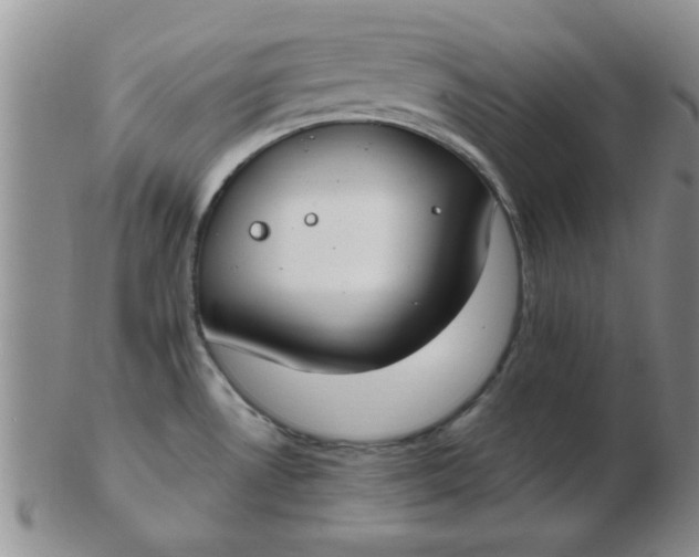 X0000103281530200809121934