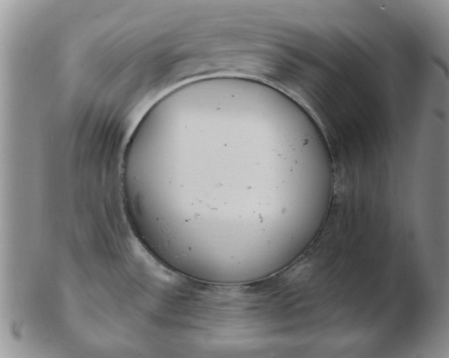 X0000103281532200809121934