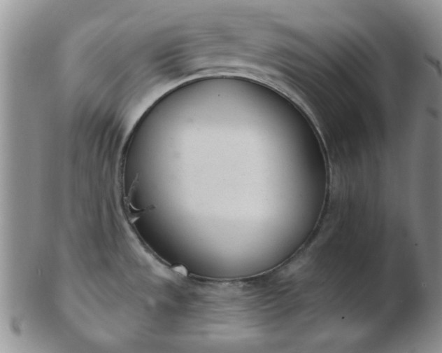 X0000103281533200809121934