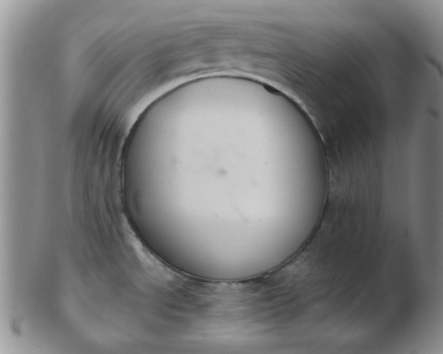 X0000103281534200809121934