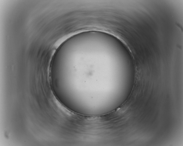 X0000103281535200809121934