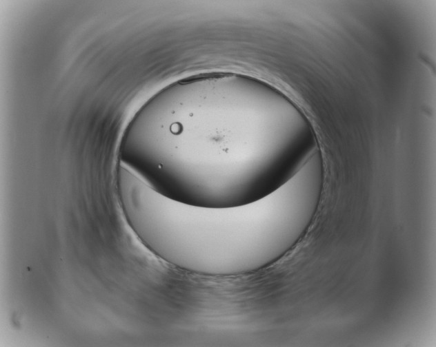 X0000103281536200809121934