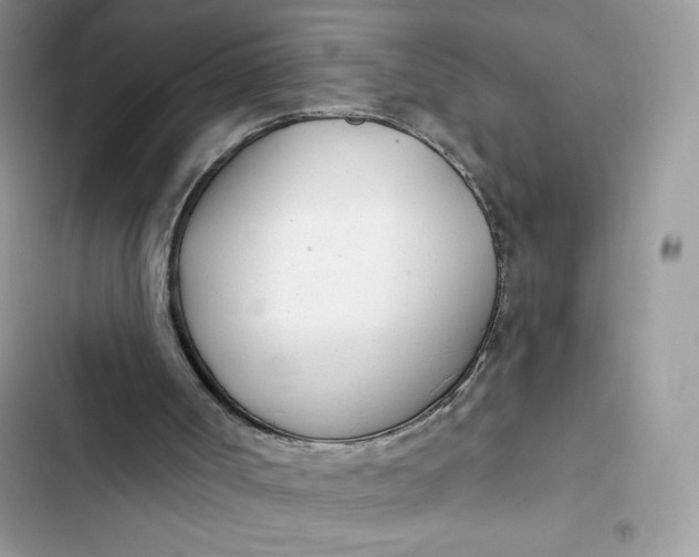 X0000103280002200809191817