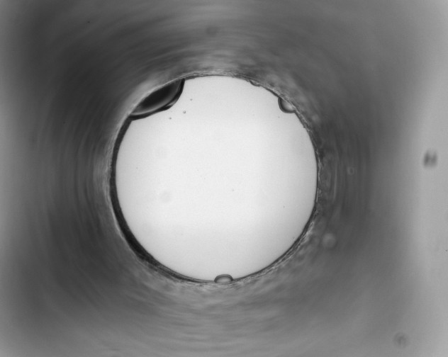 X0000103280003200809191817