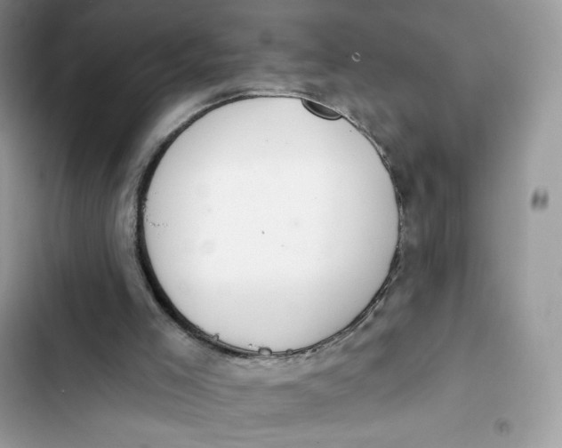 X0000103280005200809191817