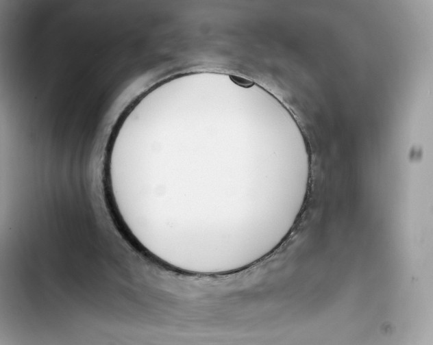 X0000103280007200809191817