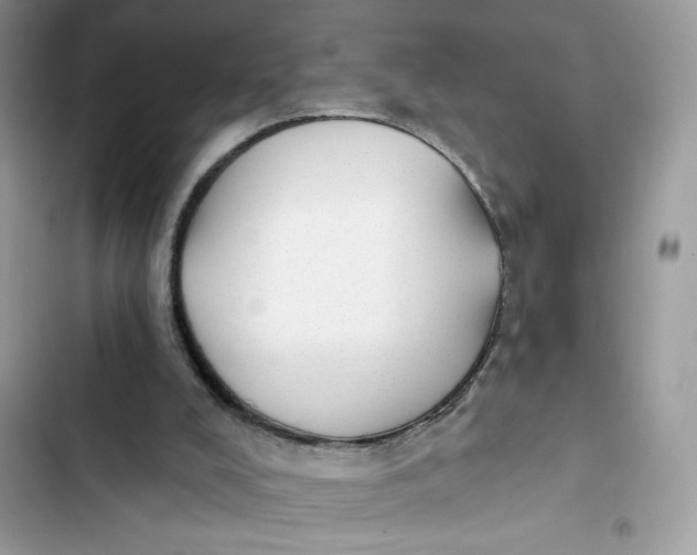 X0000103280008200809191817