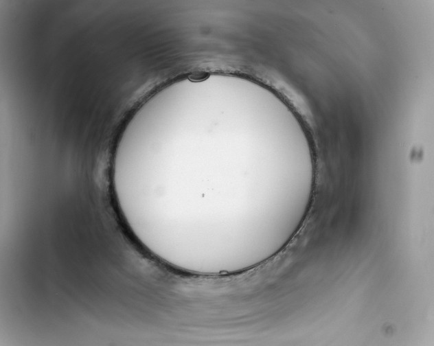 X0000103280009200809191817