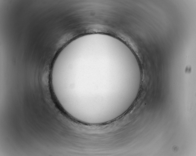 X0000103280010200809191817