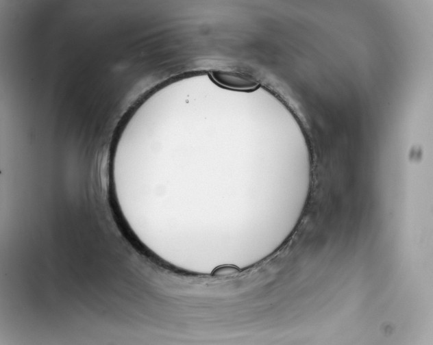 X0000103280011200809191817