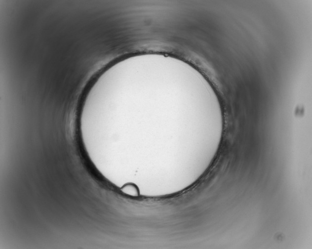 X0000103280012200809191816