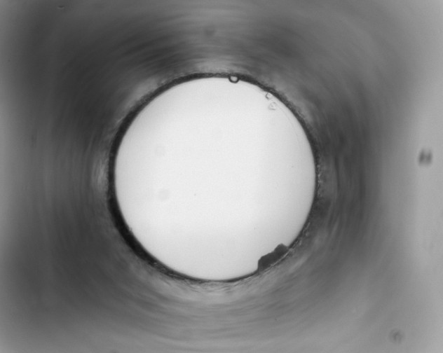 X0000103280015200809191816